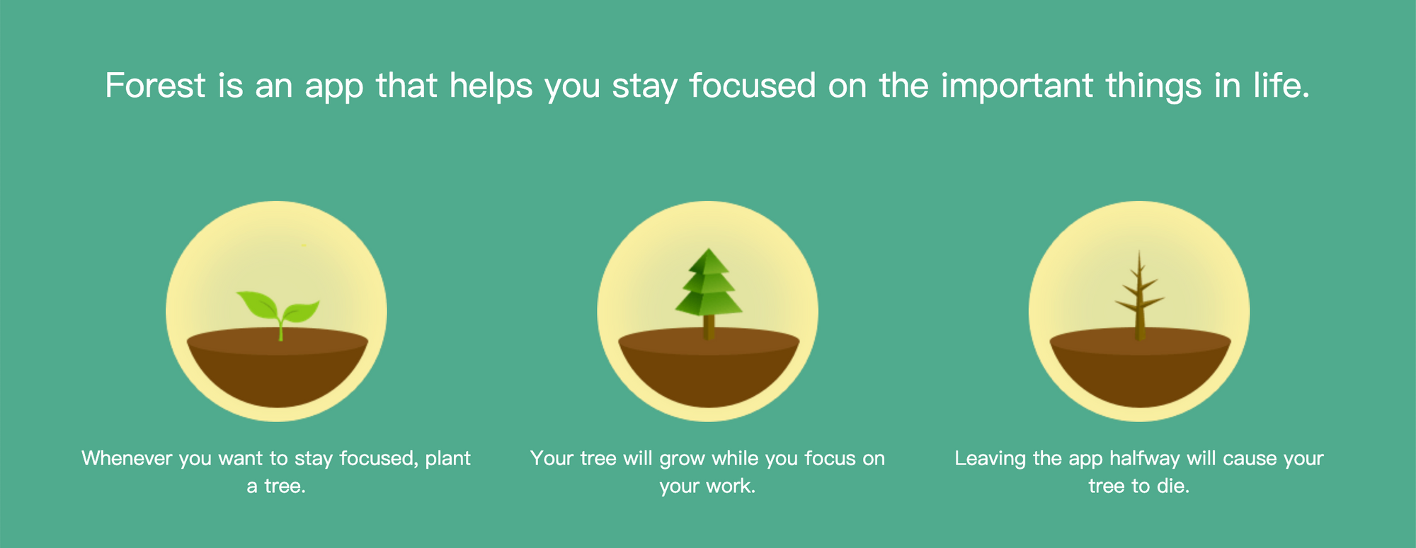 "Forest" app helps your productivity by growing a tree every time you stay focused enough