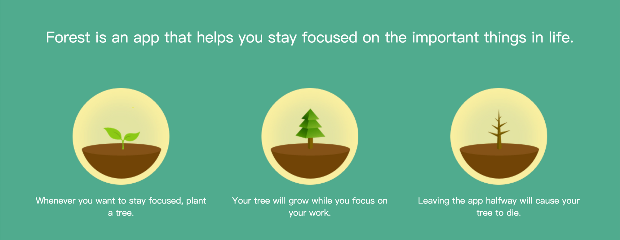 Will tree. Forest приложение. Stay Focused приложение. Forest stay Focused. Forest app на русском.