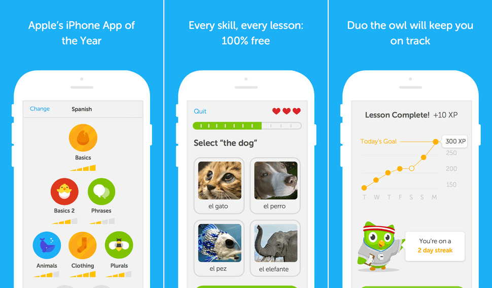 Duolinguo - a language learning app with gamified elements